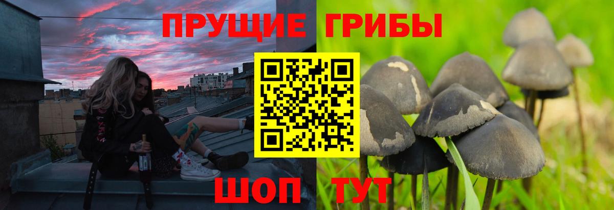 Галлюциногенные грибы GOLDEN TEACHER Казань